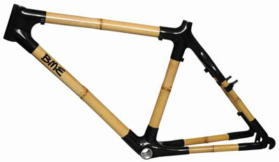 Bamboo