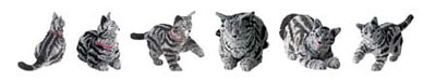 Robot cats