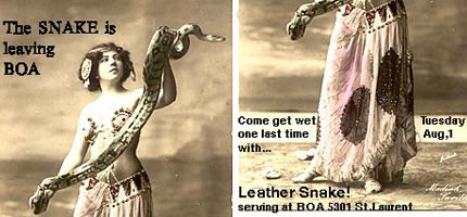 leathersnake