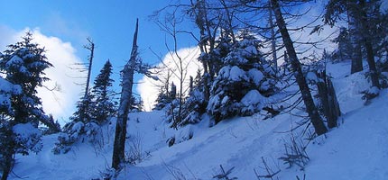 Valhalla Powder
