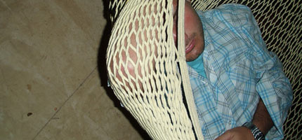 Stevey nap