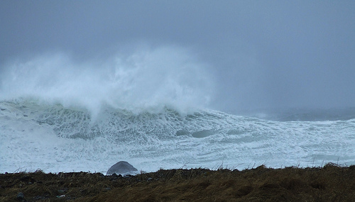 Nova Scotia waves