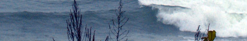 shot_6 shot_6